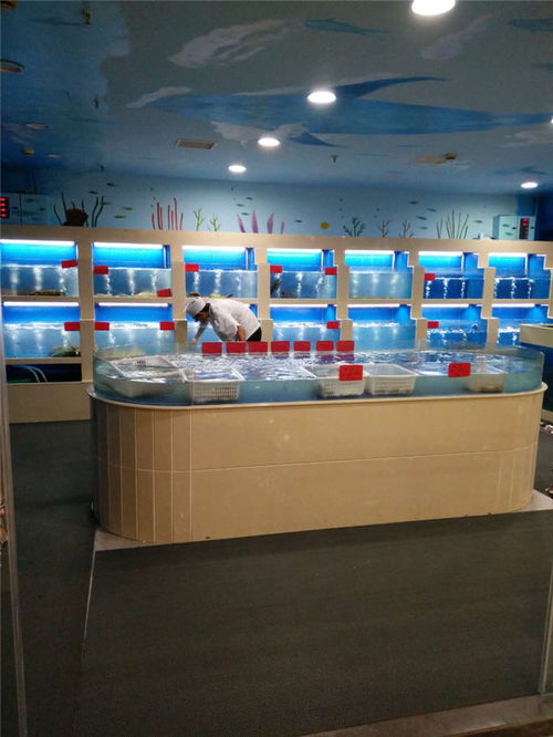 酒店海鮮池產(chǎn)品介紹與在線(xiàn)咨詢(xún)服務(wù)